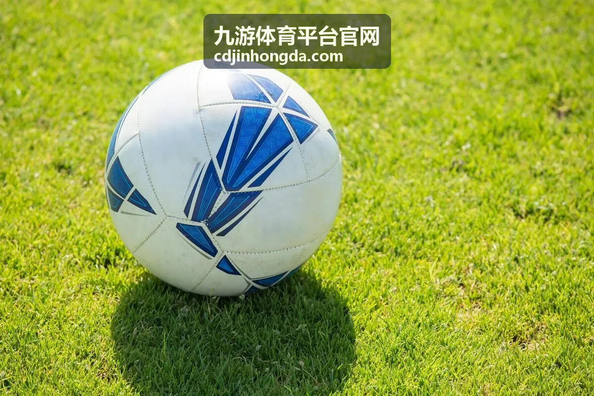 九游体育平台官网账户与安全服务栏目封面